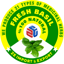 FRESH BASIL