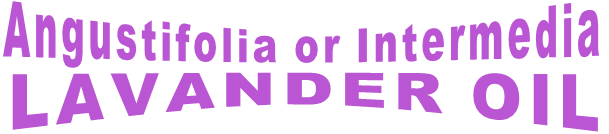 Angustifolia or Intermedia LAVANDER OIL Angustifolia or Intermedia LAVANDER OIL