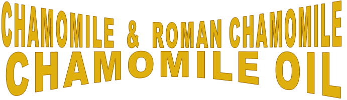 CHAMOMILE & ROMAN CHAMOMILE CHAMOMILE OIL CHAMOMILE & ROMAN CHAMOMILE CHAMOMILE OIL