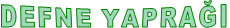 DEFNE YAPRAĞI