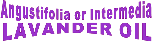 Angustifolia or Intermedia  LAVANDER OIL