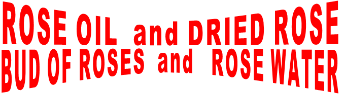 ROSE OIL and DRIED ROSE BUD OF ROSES and ROSE WATER ROSE OIL and DRIED ROSE BUD OF ROSES and ROSE WATER