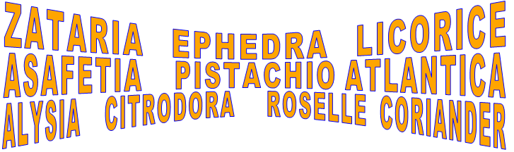 ZATARIA   EPHEDRA   LICORICE    ASAFETIA    PISTACHIO ATLANTICA    ALYSIA    CITRODORA     ROSELLE  CORIANDER