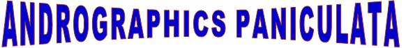 ANDROGRAPHICS PANICULATA