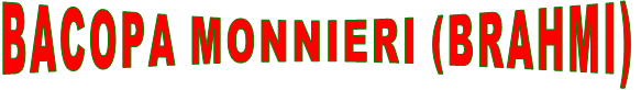 BACOPA MONNIERI (BRAHMI)