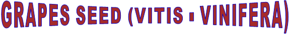 GRAPES SEED (VITIS - VINIFERA)