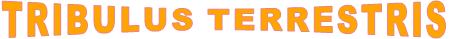 TRIBULUS TERRESTRIS