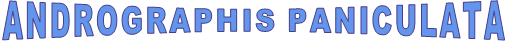 ANDROGRAPHIS PANICULATA
