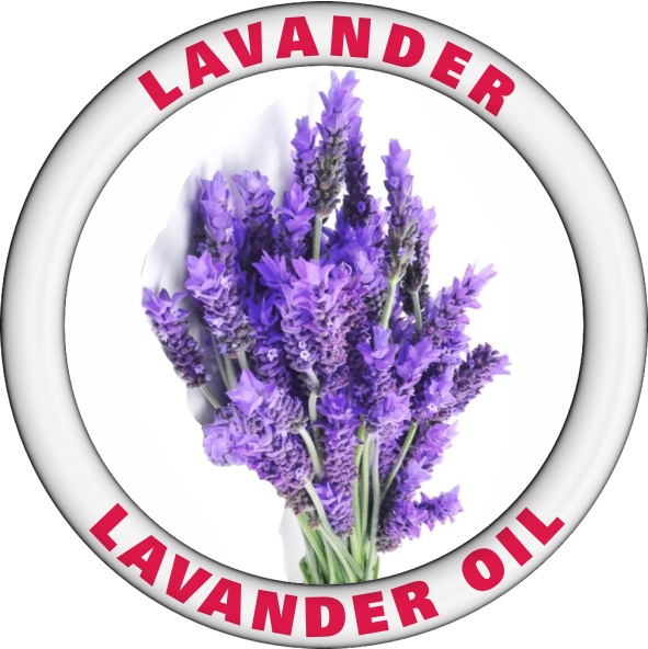 LAVANDER GROUP